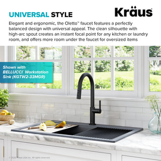 Oletto Pull-Down 1-Hole Kitchen Faucet, Matte Black, Model Kpf-2820mb