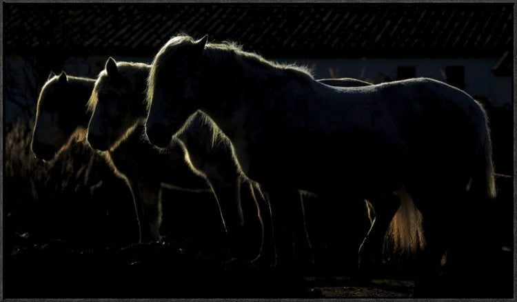 Triplets, 36"x21"