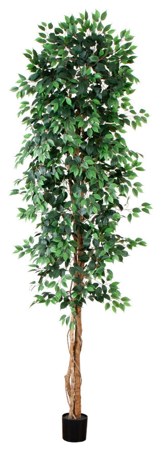 Primary product image on white background showing the full tree; no text or diagrams.