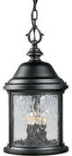 Progress P5550-31 Ashmore - Three Light Outdoor Hanging Lantern
