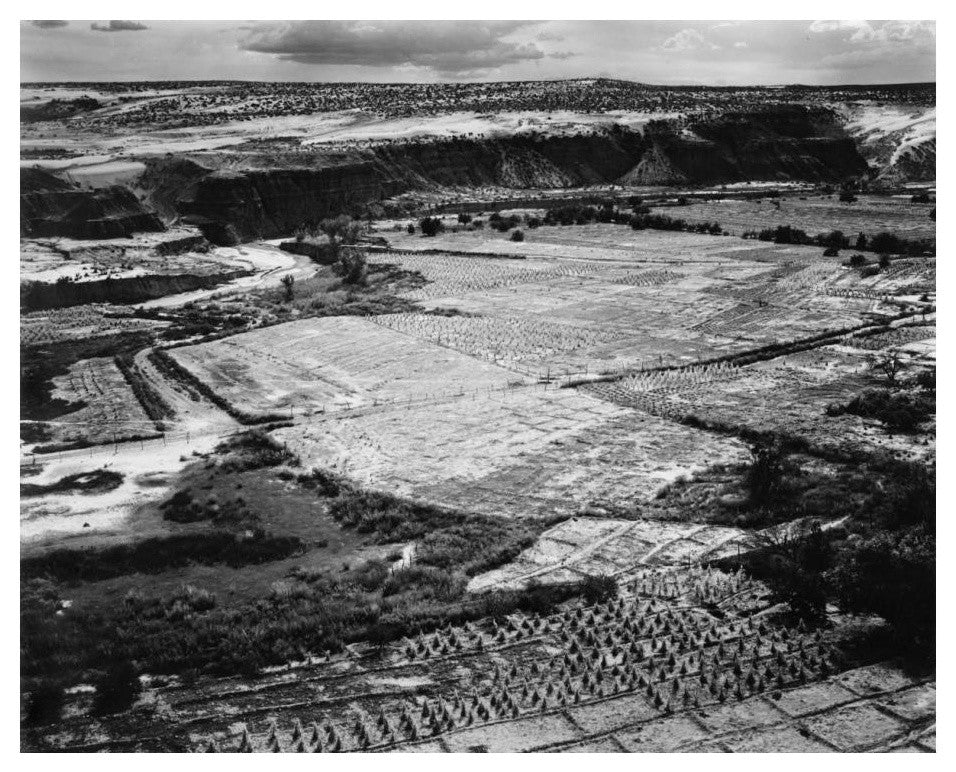 "Corn Fieldn Farm near Tuba City, in Rain, 1941" Paper Art, 24"x20"