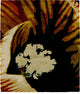 Bing A Signature Rug, 8' Round