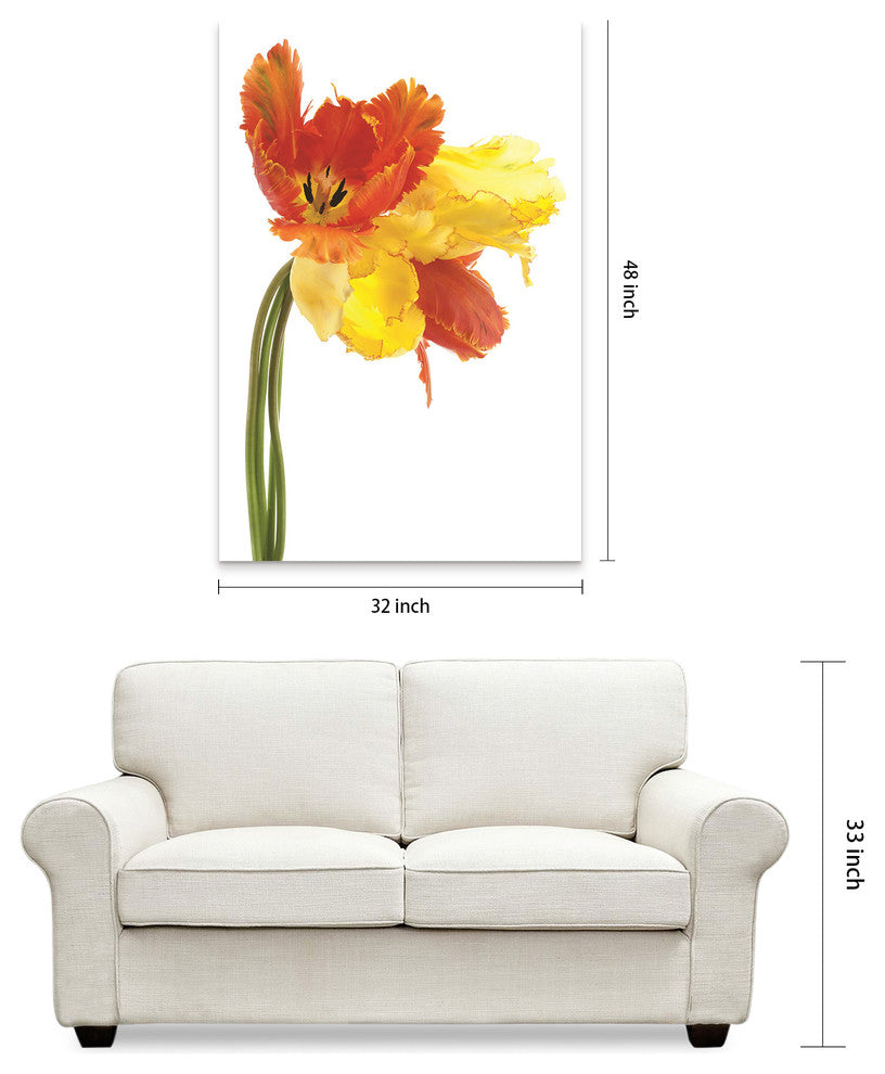 Orange Yellow Parrot Tulip Frameless Free Floating Tempered Art Glass Wall Art