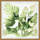Eden Botanica, Giclee Reproduction Artwork