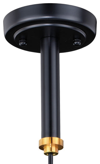 Kassidy 1-Light Dual Mount Pendant/Wall Sconce, Black and Natural Brass