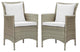 Side Dining Chair Armchair, Set of 2, Rattan, Wicker, Gray White, Outdoor