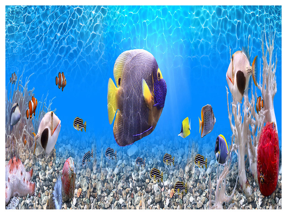Underwater Universe Panorama, Landscape Canvas Art Print, 40"x30"