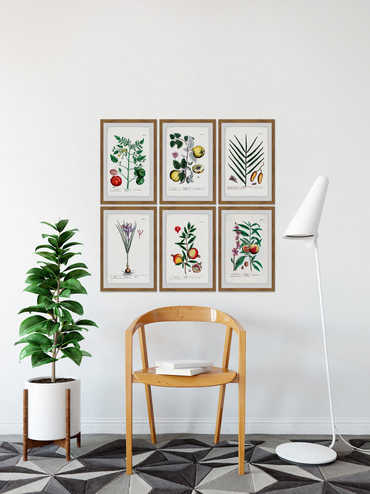 "Plantas Jali Hexaptych" Framed Prints, 24"x36", 6-Piece Set