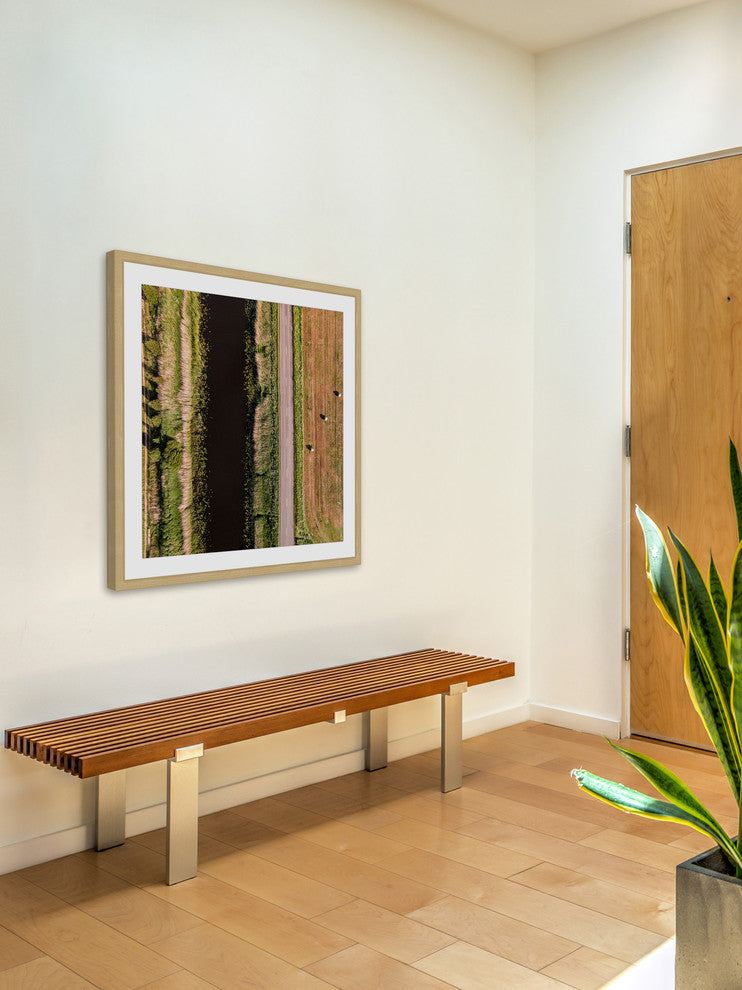 "Secret Between The Rows" Framed Print by Karolis Janulis