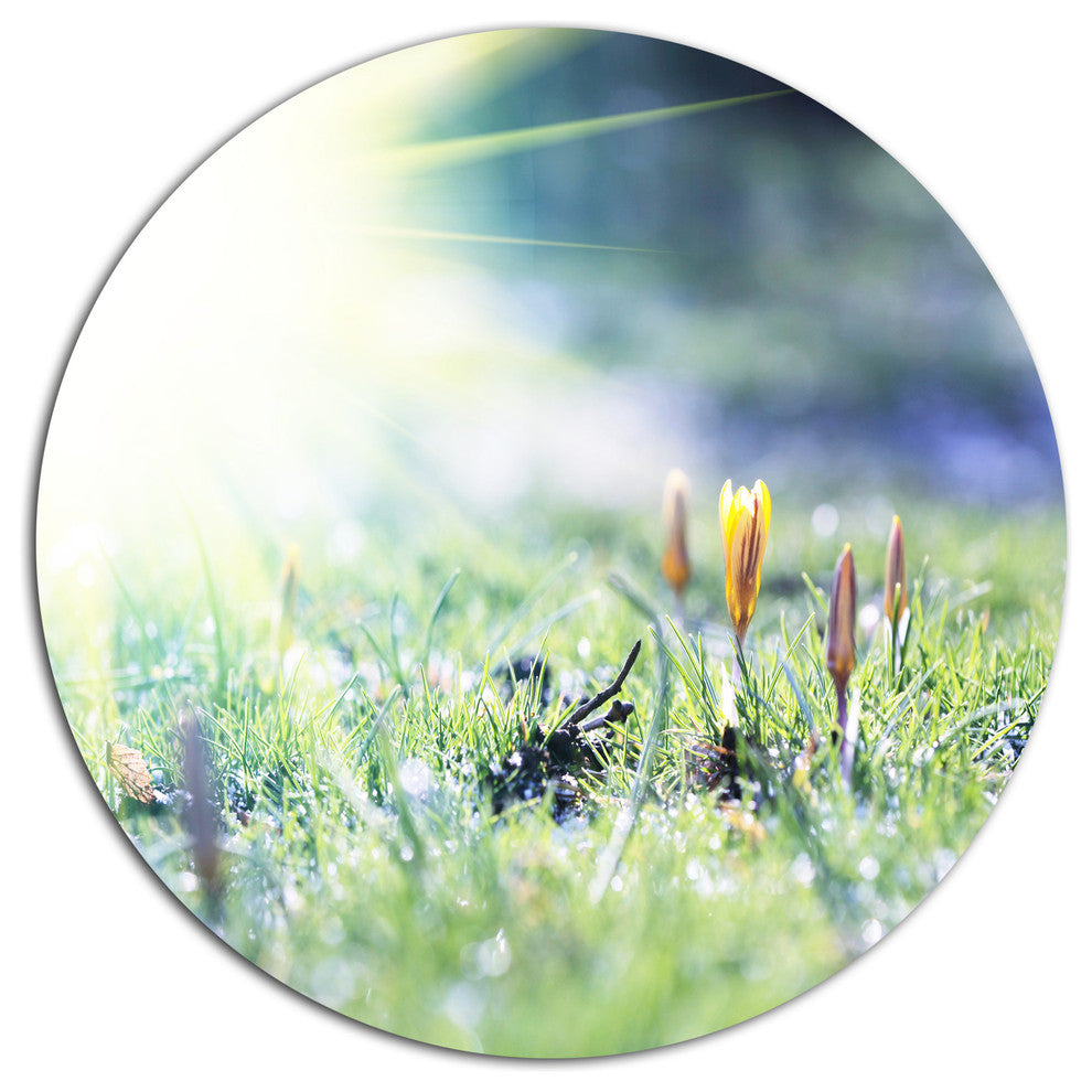 Beautiful First Spring Flowers At Dawn, Floral Round Wall Art, 36"