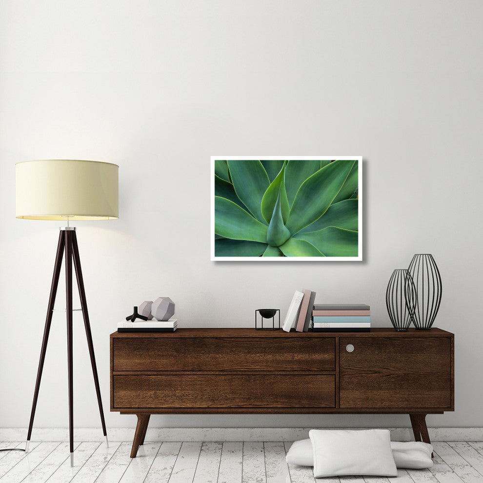 "Fox Tail Agave leaves, succulent, mountains of Mexico" Paper Art, 38"x26"