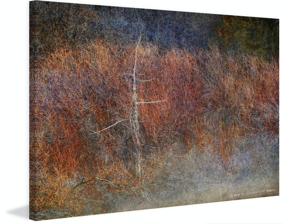 "Grey Green Forest Abstract" Print on Canvas by Chris Vest