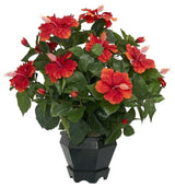 Hibiscus With Black Hexagon Vase Silk Plant