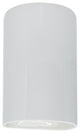 Ambiance ADA Large Cylinder Outdoor Wall Sconce, Closed, Gloss White, E26