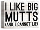 I Like Big Mutts 12x16 Canvas Wall Art