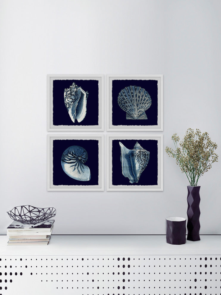 "All About Shells Quadriptych" Framed Painting Prints, 24"x24", 4-Piece Set