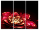 "Fractal Pink Flower" Digital Canvas Print, 3 Panels, 36"x28"