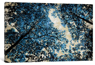 "Blue Forest II" by Derek Scott, Canvas Print, 26"x18"