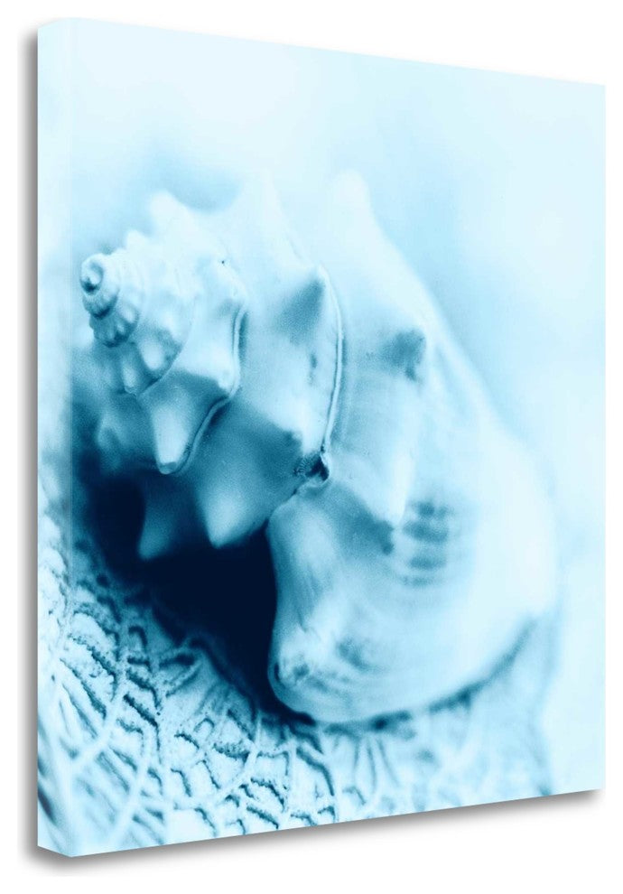 "Nautica No4" By Alan Blaustein, Giclee Print on Gallery Wrap Canvas