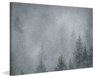 "Foggy Pines" Painting Print on Canvas