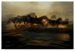 Milan Malovrh 'In The Morning Gallop' Canvas Art, 32"x22"