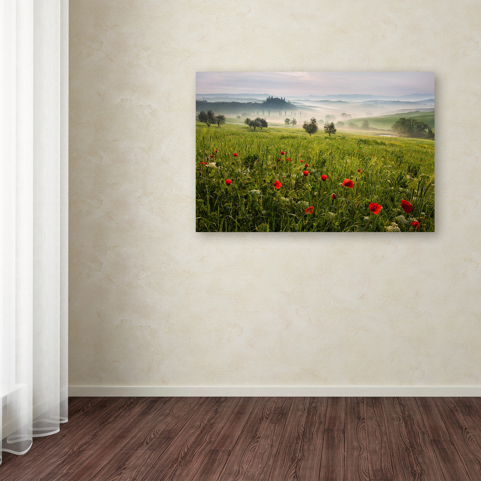 Daniel Rericha 'Tuscan Spring' Canvas Art, 47x30