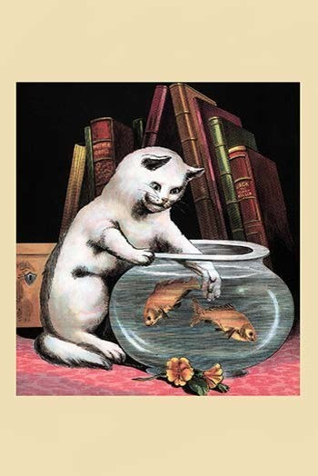 The Foolish Kitten - Fine Art Giclee Print 24" x 36"