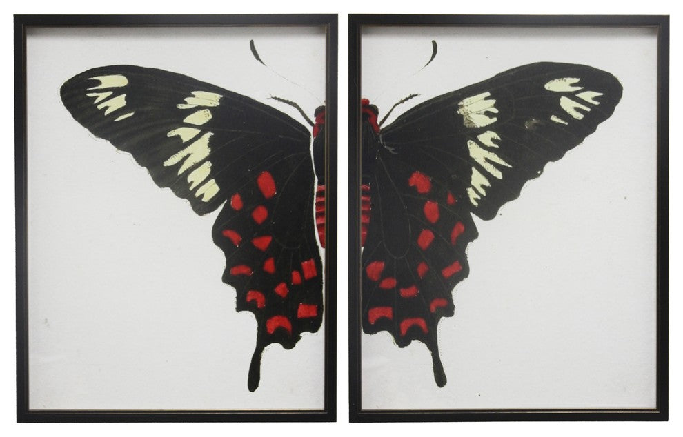 Split Red And White Butterfly, Copper and Black Shadowbox, Left