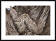 Folded Limestone Layers, Kaikoura, North Canterbury, New Zealand, 36"x26"