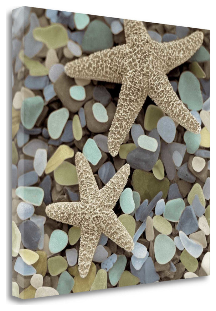 11" Two Starfish and Seaglass 4 Giclee Wrap Canvas Wall Art