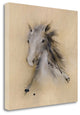 "Horse Play II" By J.P. Prior,Ready to Hang Giclee Print on Gallery Wrap Canvas