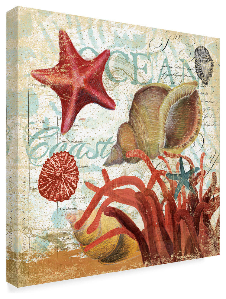 Art Licensing Studio 'Shell Collector Ocean' Canvas Art, 24x24