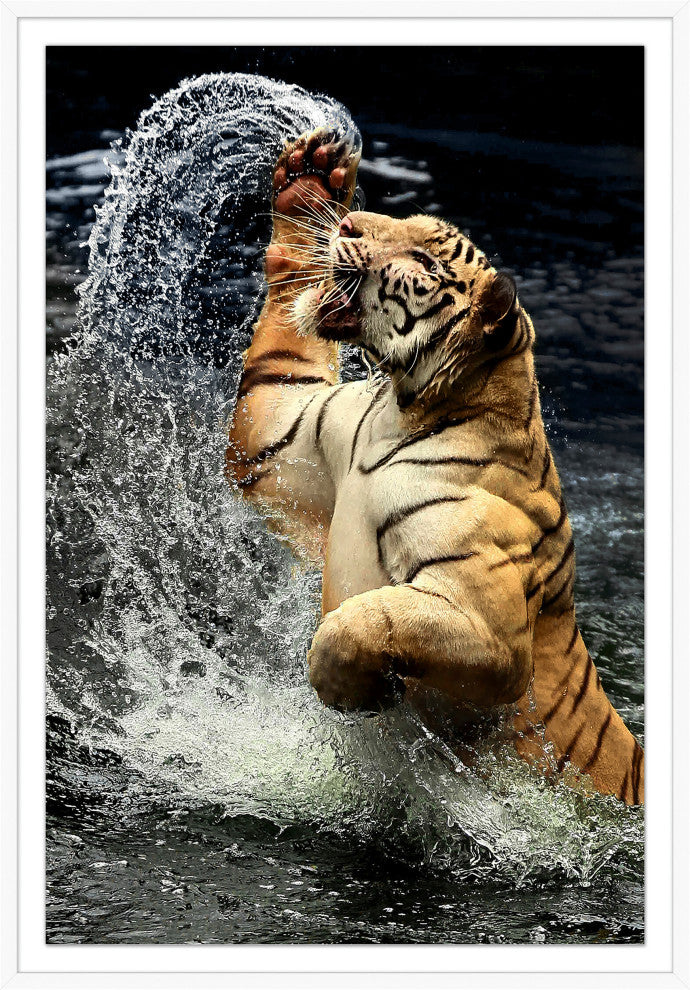 Tiger Jump 2