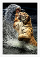 Tiger Jump 2