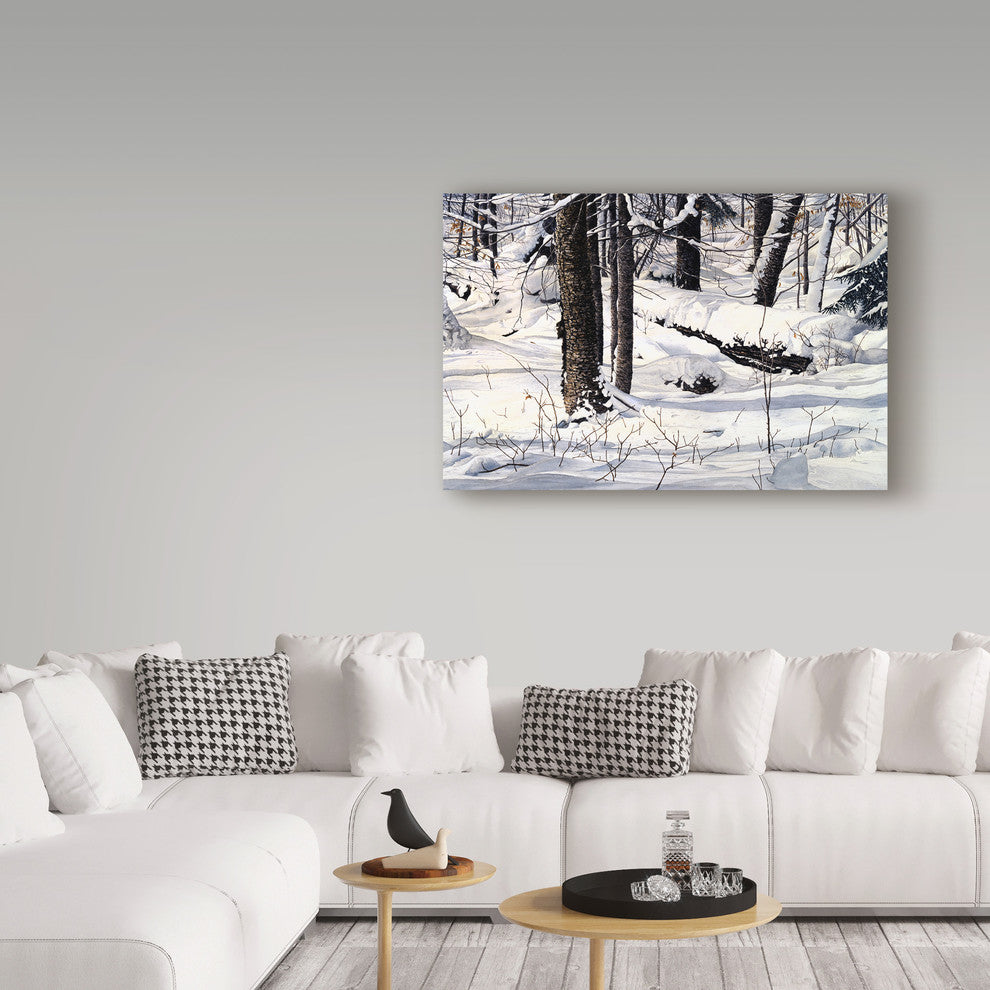 "Symphony of Light" by John Morrow, Canvas Art, 16"x24"
