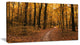 Path in the Yellow Fall Forest, Modern Forest Canvas Art, 32"x16"