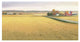 "Heartland Landscape II" Digital Paper Print by James Wiens, 26"x14"