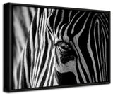 Abstract Zebra' Framed Print Wall Art by Roy Darnell