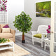 4.5' Super Deluxe Ficus Artificial Tree With Natural Trunk
