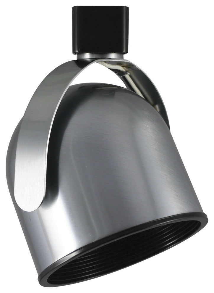 Par 3O Short Neck 120V 75W Max, Black Finish