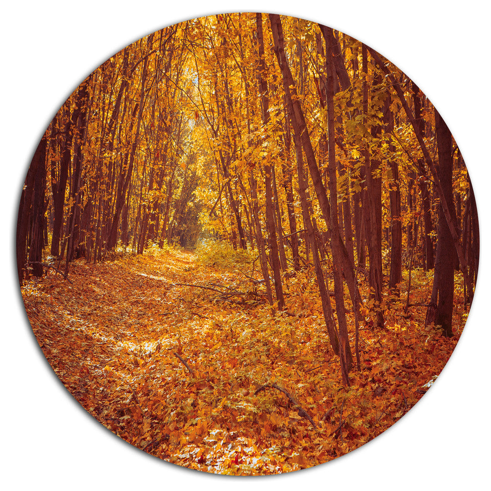 Yellow Forest And Fallen Leaves, Modern Forest Disc Metal Artwork, 23"