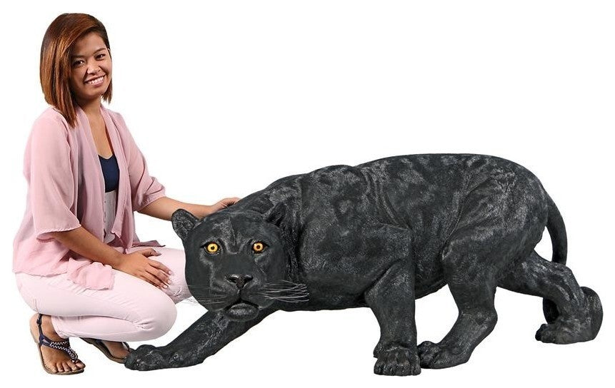 Grande Shadowed Predator Black Panter