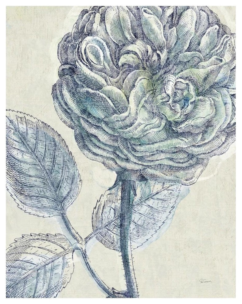 "Belle Fleur III" Digital Paper Print by Sue Schlabach, 30"x37"