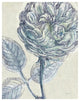 "Belle Fleur III" Digital Paper Print by Sue Schlabach, 30"x37"