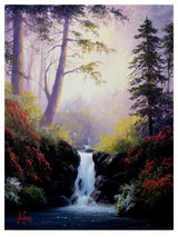 "Forest Scene" by Anthony Casay, Canvas Art, 19"x14"