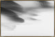 36x24 Lenticular Clouds XVI, Framed Artwork, Gold