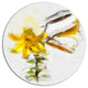 Yellow Tulip Stem With Leaves, Floral Round Metal Wall Art, 36"