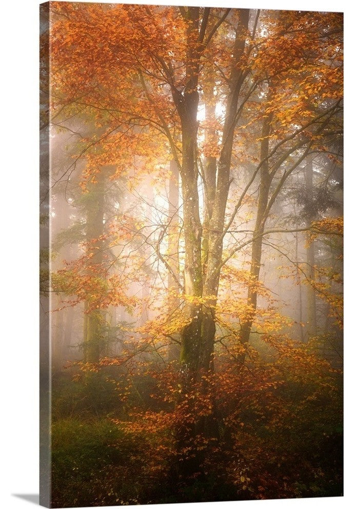 "Alone in the Fog" Wrapped Canvas Art Print, 24"x36"x1.5"