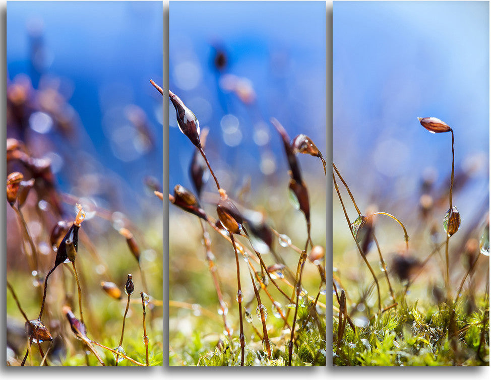 "Abstract Summer Spring Moss Flowers" Metal Wall Art, 3 Panels, 36"x28"