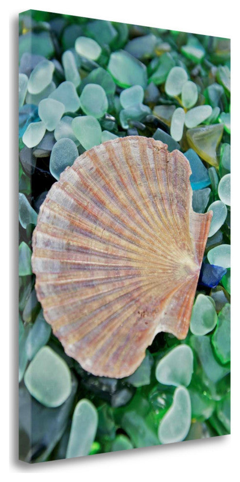 25" Seashell and Seaglass Giclee Wrap Canvas Wall Art